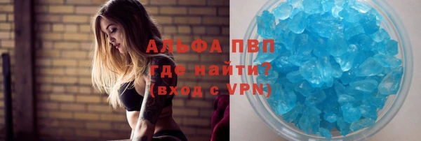 мяу мяу мука Баксан