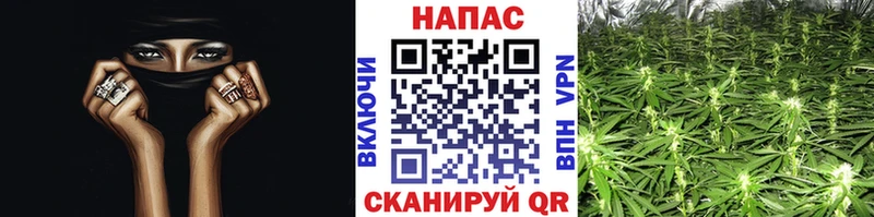 Канабис OG Kush  Ликино-Дулёво 